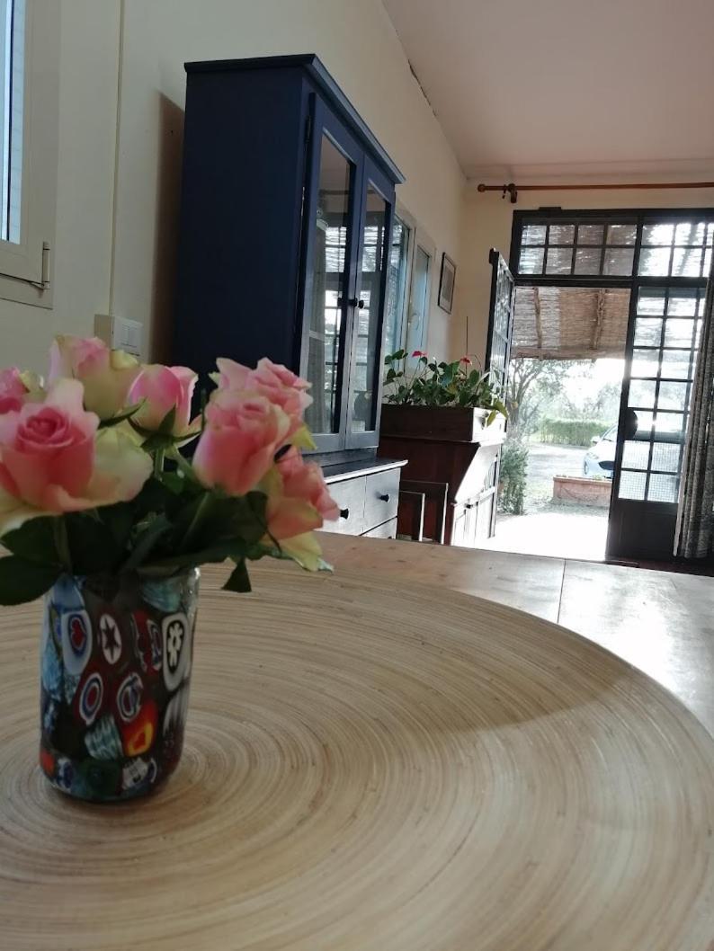 Bb Villa Bolgheri Mare 多诺然蒂克 外观 照片