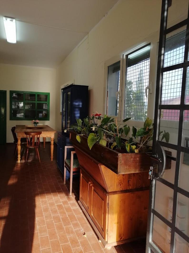 Bb Villa Bolgheri Mare 多诺然蒂克 外观 照片