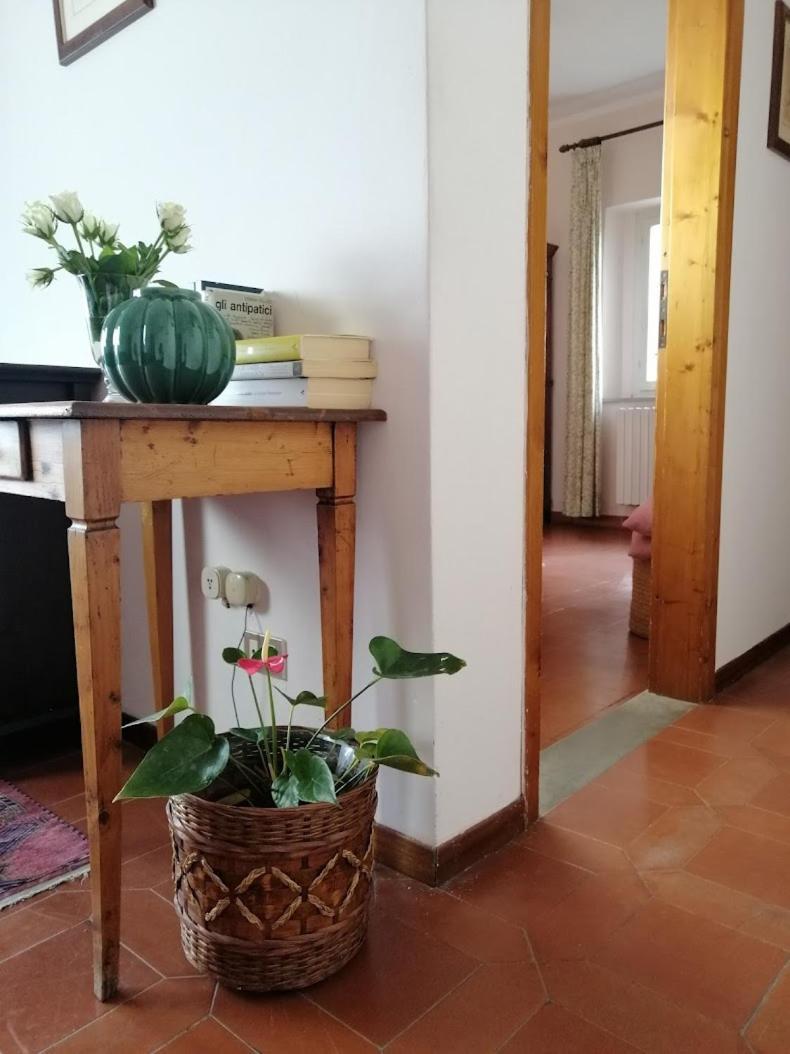 Bb Villa Bolgheri Mare 多诺然蒂克 外观 照片