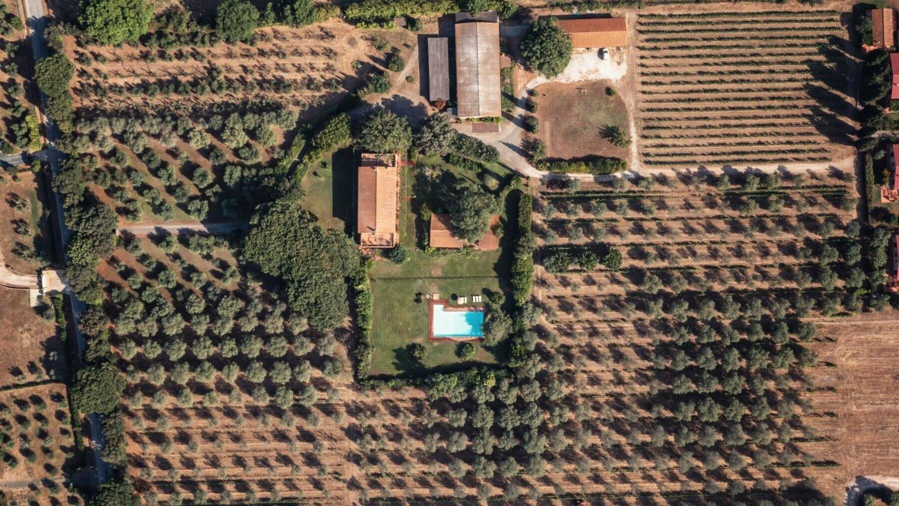 Bb Villa Bolgheri Mare 多诺然蒂克 外观 照片